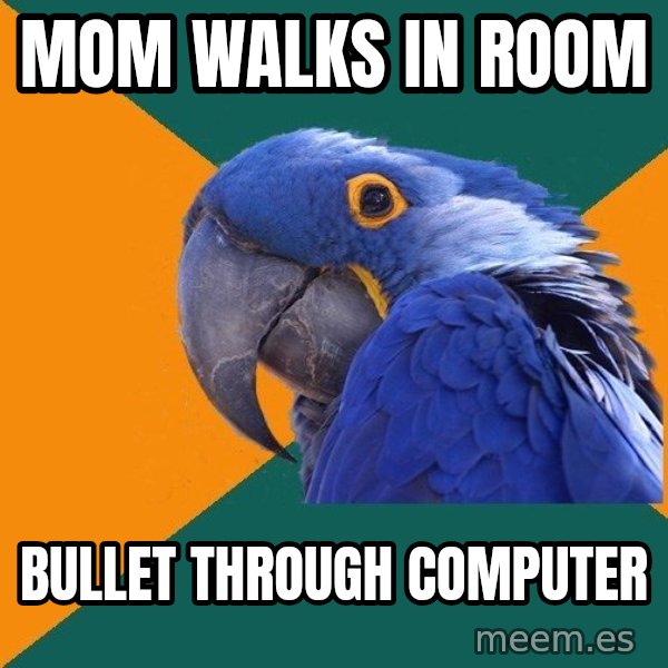 Paranoid Parrot meme: Mom walks in room / Bullet through computer