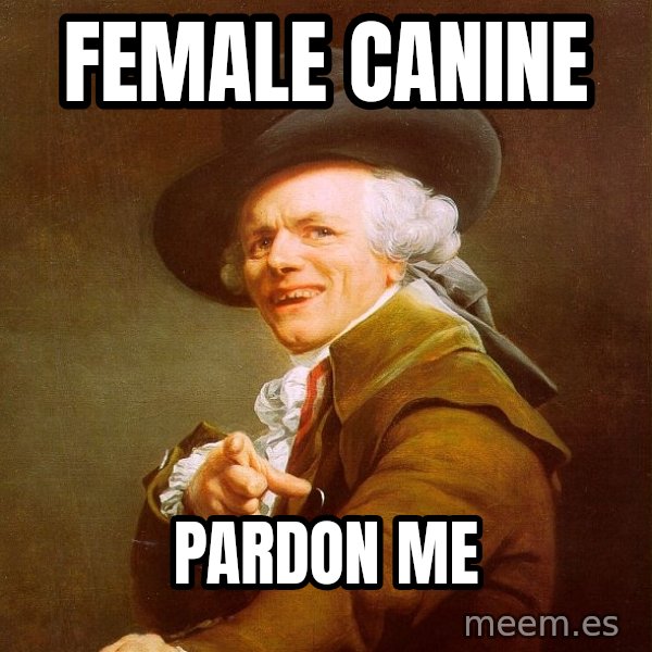 Joseph Ducreux meme: female canine / pardon me