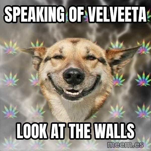 Stoner Dog meme: speaking of velveeta / look at the walls