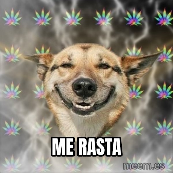 Stoner Dog meme: me rasta