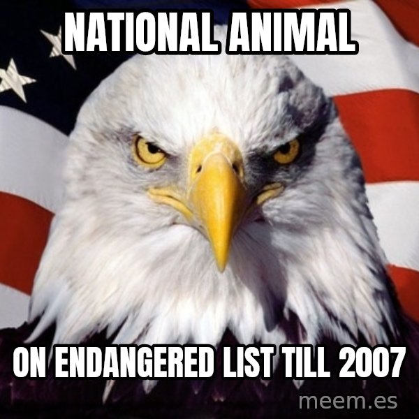 American Pride Eagle meme: national animal / on endangered list till 2007
