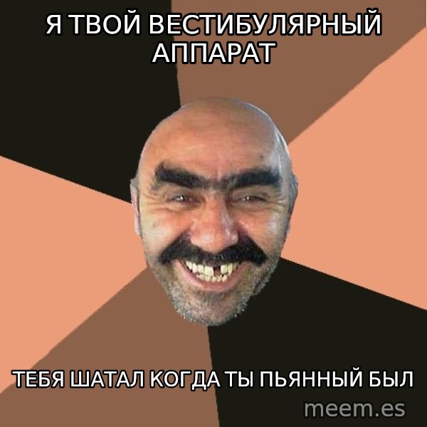 Provincial Man meme: я твой вестибулярный аппарат / тебя шатал когда ты пьянный был