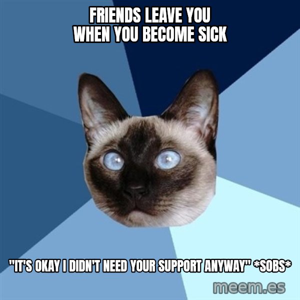 Chronic Illness Cat meme: Friends leave you when you become sick / "it's okay I didn't need your support anyway" *sobs*