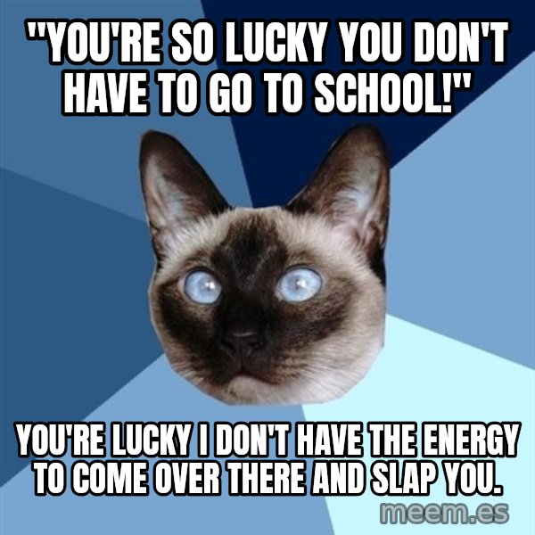 Chronic Illness Cat meme: "you're so lucky you don't have to go to school!" / You're lucky I don't have the energy to come over there and slap you.