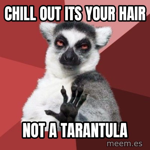Chill Out Lemur meme: chill out its your hair / not a tarantula
