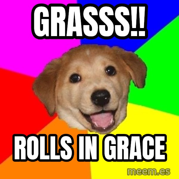 Advice Dog meme: GRASSS!! / rolls in grace
