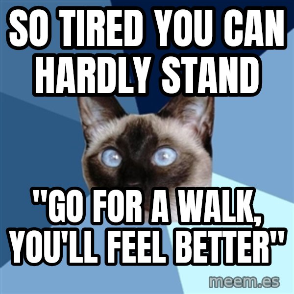 Chronic Illness Cat meme: So tired you can hardly stand / "Go for a walk, you'll feel better"