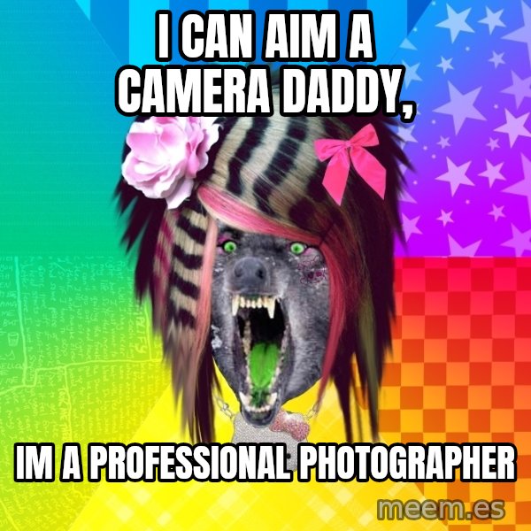 Insanity Scene Wolf meme: I can aim a camera daddy, / Im a professional photographer