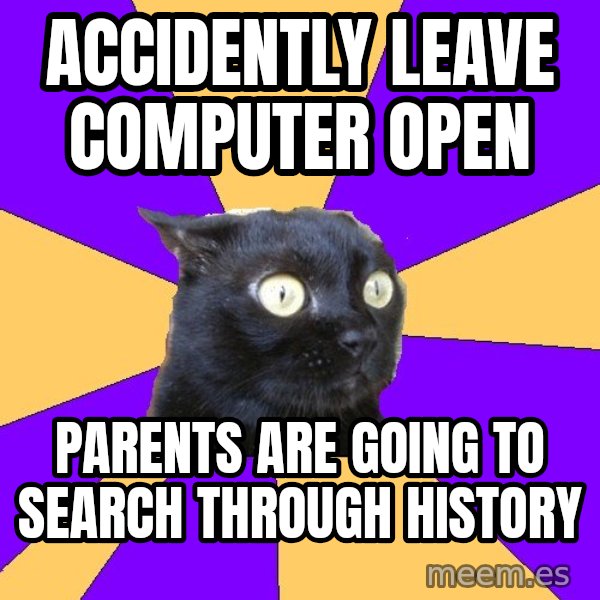 Anxiety Cat meme: accidently leave computer open / parents are going to search through history