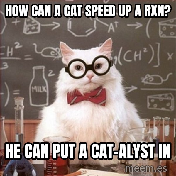 Science Cat meme: How can a cat speed up a Rxn? / He can put a Cat-Alyst in