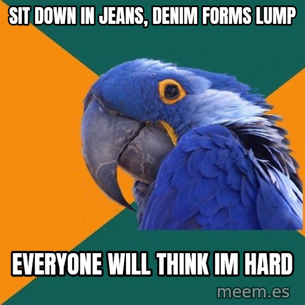 Paranoid Parrot meme: sit down in jeans, denim forms lump / everyone will think im hard