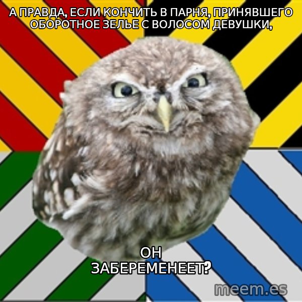 JEALOUS POTTEROMAN meme: А правда, если кончить в парня, принявшего оборотное зелье с волосом девушки, / он забеременеет?