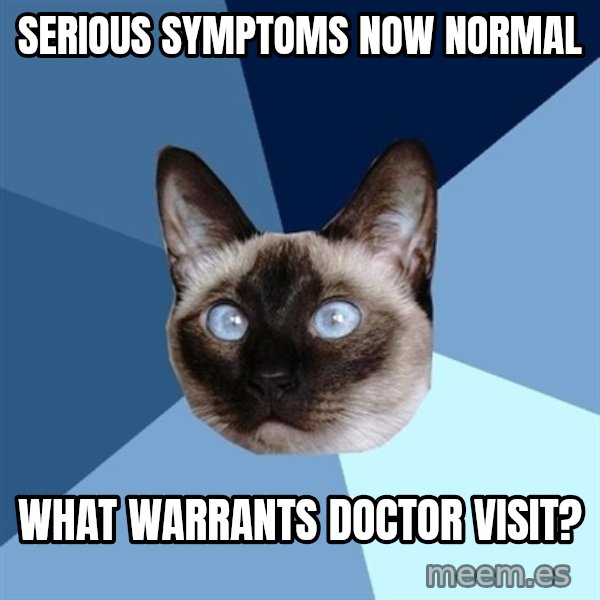 Chronic Illness Cat meme: Serious symptoms now normal / What warrants doctor visit?