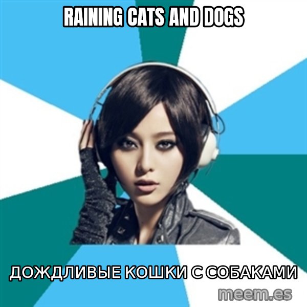 Crafty Interpreter meme: raining cats and dogs / дождливые кошки с собаками