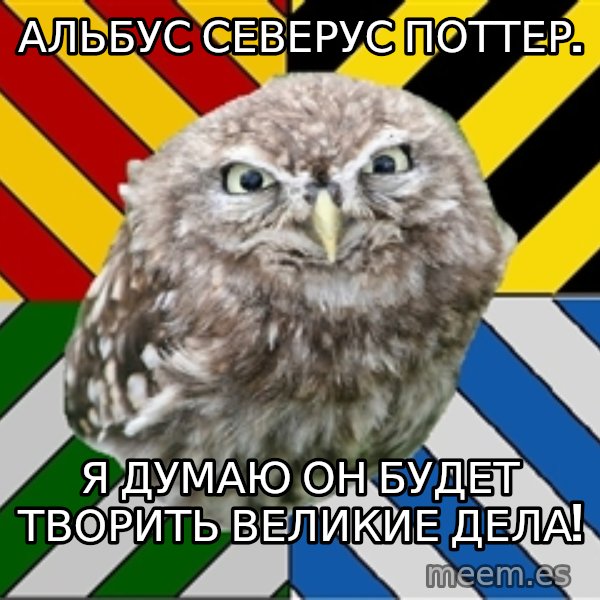 JEALOUS POTTEROMAN meme: альбус северус поттер. / я думаю он будет творить великие дела!
