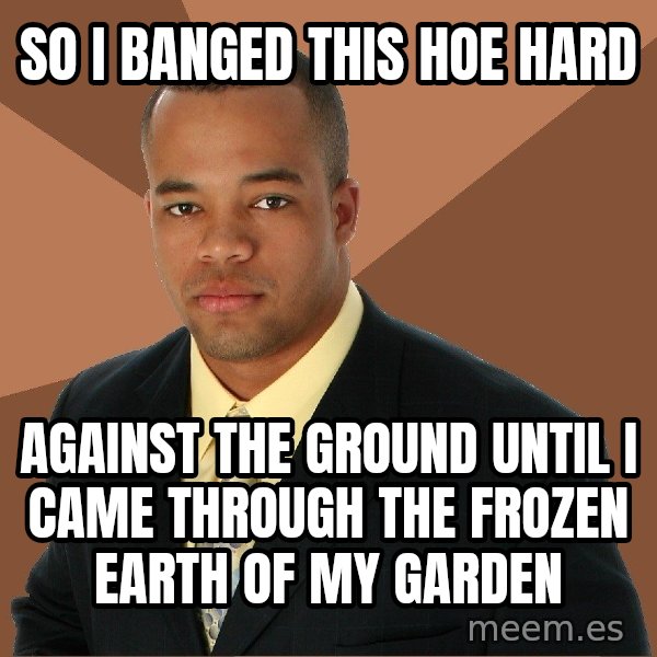 Successful Black Man meme: So i banged this hoe hard / against the ground until i came through the frozen earth of my  garden