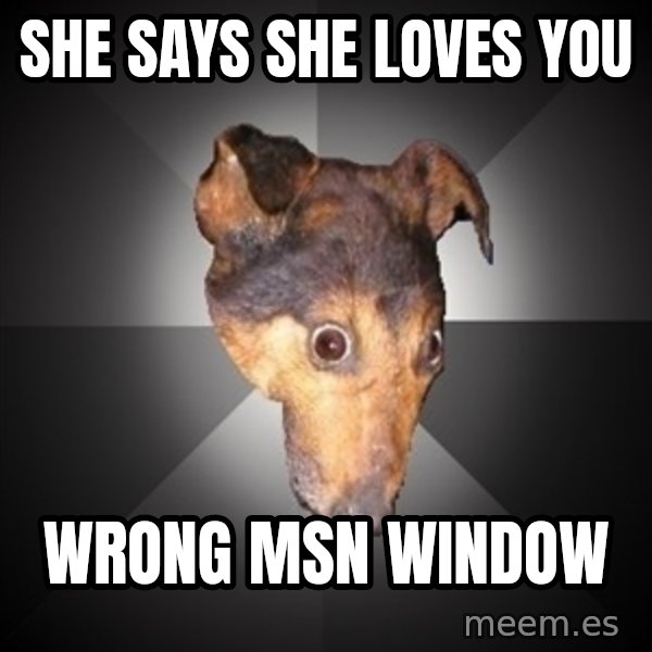 Depression Dog meme: she says she loves you / wrong msn window