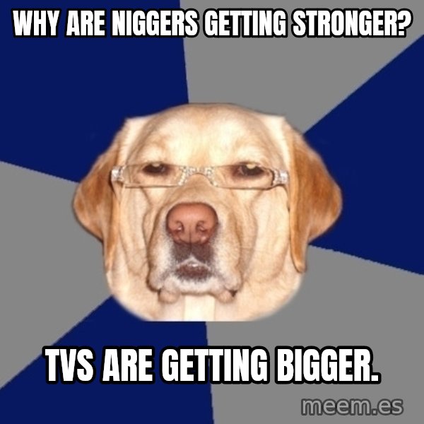 Racist Dog meme: Why are niggers getting stronger? / TVs are getting bigger.