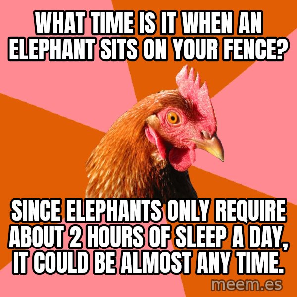 Anti Joke Chicken meme: What time is it when an elephant sits on your fence? / Since elephants only require about 2 hours of sleep a day, it could be almost any time.