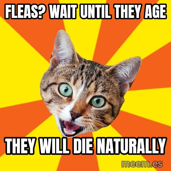 Bad Advice Cat meme: Fleas? wait until they age / They will die naturally