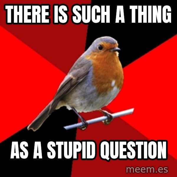 Retail Robin meme: There is such a thing / as a stupid question