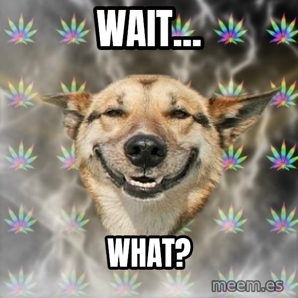Stoner Dog meme: wait... / what?