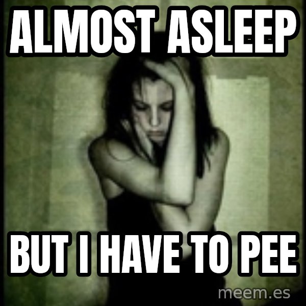 First World Problems meme: Almost asleep / but i have to pee