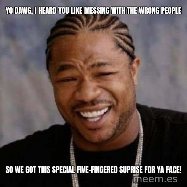 xzibit-yo-dawg meme: Yo Dawg, i heard you like messing with the wrong people / so we got this special five-fingered suprise for ya face!