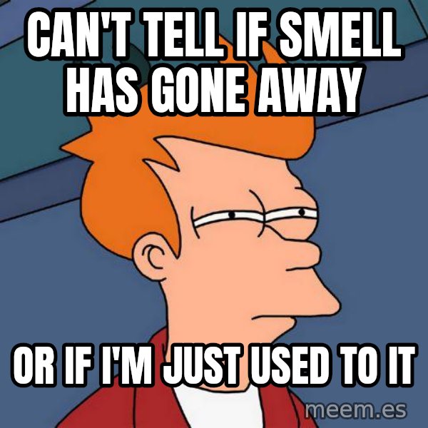 Futurama Fry meme: can't Tell if smell has gone away / or if I'm just used to it