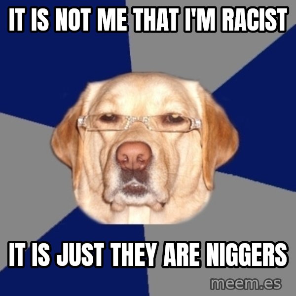 Racist Dog meme: It is not me that i'm racist / it is just they are niggers