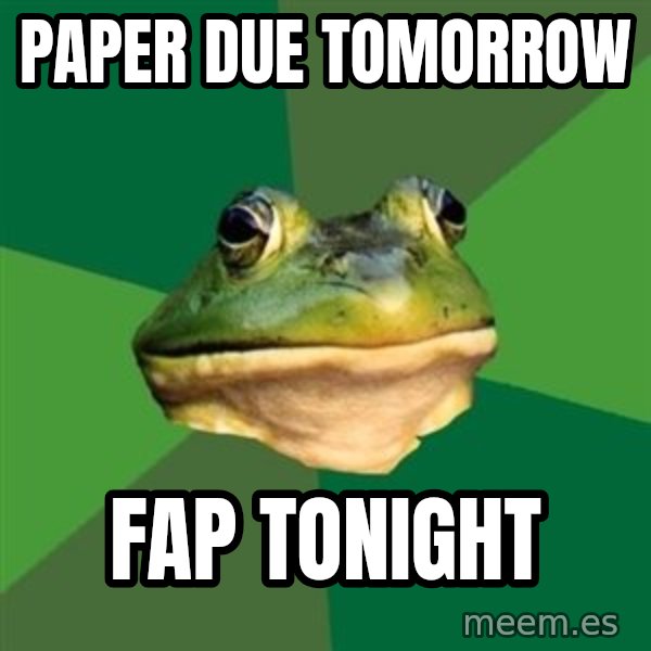Foul Bachelor Frog meme: Paper due tomorRow / fap tonight