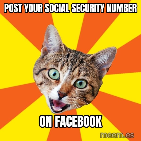 Bad Advice Cat meme: post your social security number / on Facebook