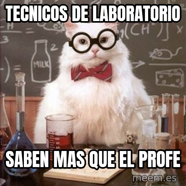 Chemistry Cat meme: tecnicos de laboratorio / saben mas que el profe