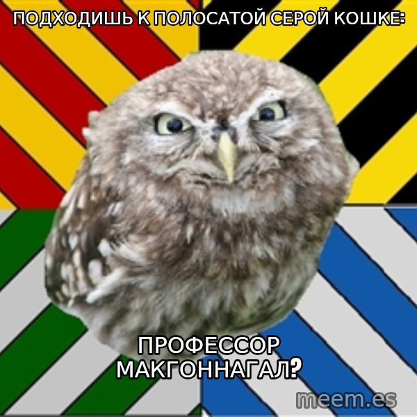 JEALOUS POTTEROMAN meme: ПОДХОДИШЬ К ПОЛОСАТОЙ СЕРОЙ КОШКЕ: / профессор макгоннагал?