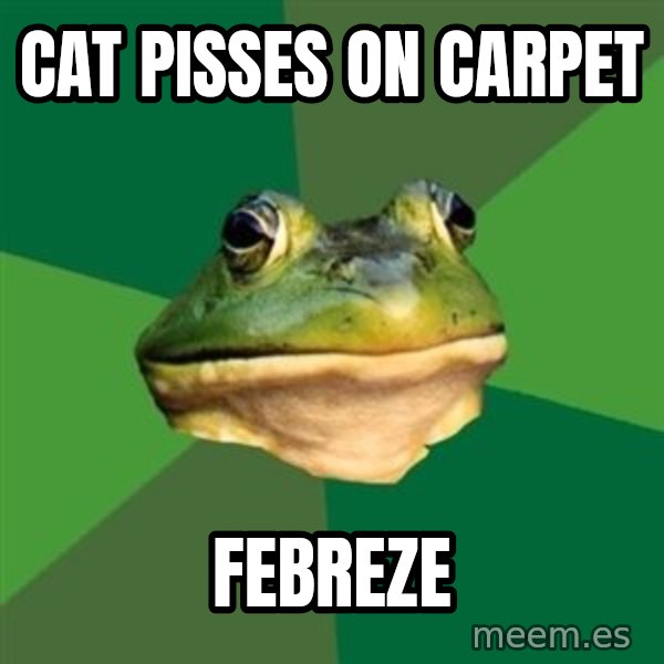 Foul Bachelor Frog meme: cat pisses on carpet / febreze
