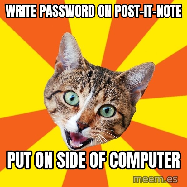Bad Advice Cat meme: write password on post-it-note / put on side of computer