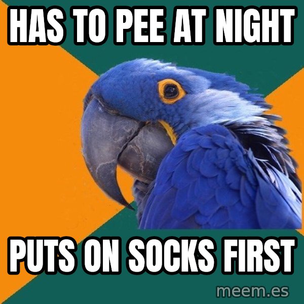 Paranoid Parrot meme: has to pee at night / puts on socks first