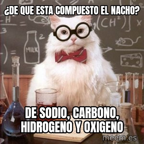 Chemistry Cat meme: ¿de que esta compuesto el Nacho? / de Sodio, carbono, hidrogeno y oxigeno