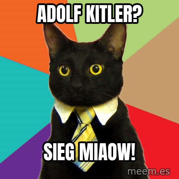 Business Cat meme: Adolf kitler? / sieg miaow!