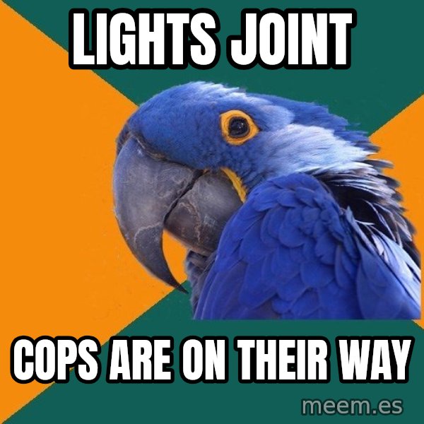 Paranoid Parrot meme: Lights joint / Cops are on their way