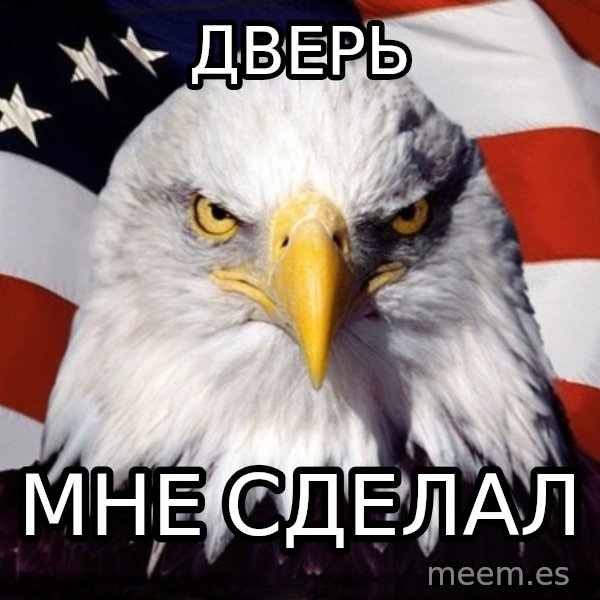 American Pride Eagle meme: дверь / мне сделал