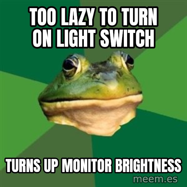 Foul Bachelor Frog meme: too lazy to turn on light switch / turns up monitor brightness