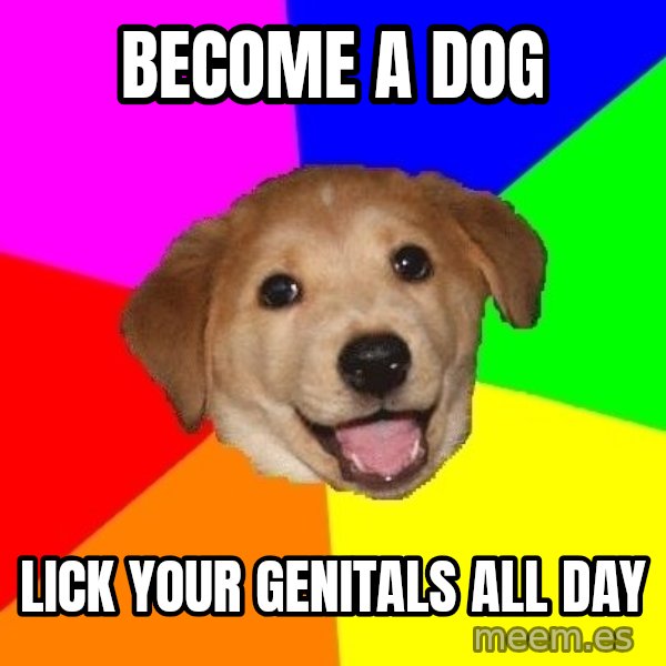 Advice Dog meme: Become a dog / lick your genitals all day