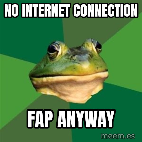 Foul Bachelor Frog meme: NO INTERNET CONNECTION / FAP ANYWAY