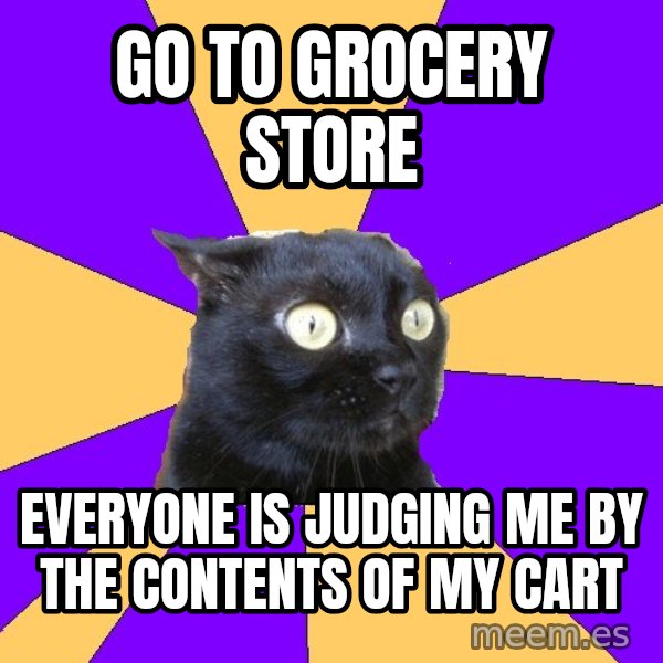 Anxiety Cat meme: Go to grocery store / everyone is judging me by the contents of my cart
