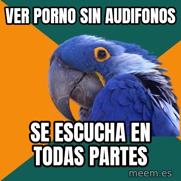Paranoid Parrot meme: ver porno sin audifonos / se escucha en todas partes