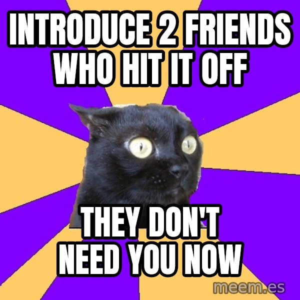 Anxiety Cat meme: Introduce 2 friends who hit it off / They don't need you now