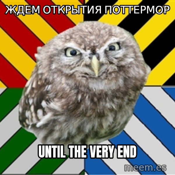 JEALOUS POTTEROMAN meme: ждем открытия поттермор / until the very end
