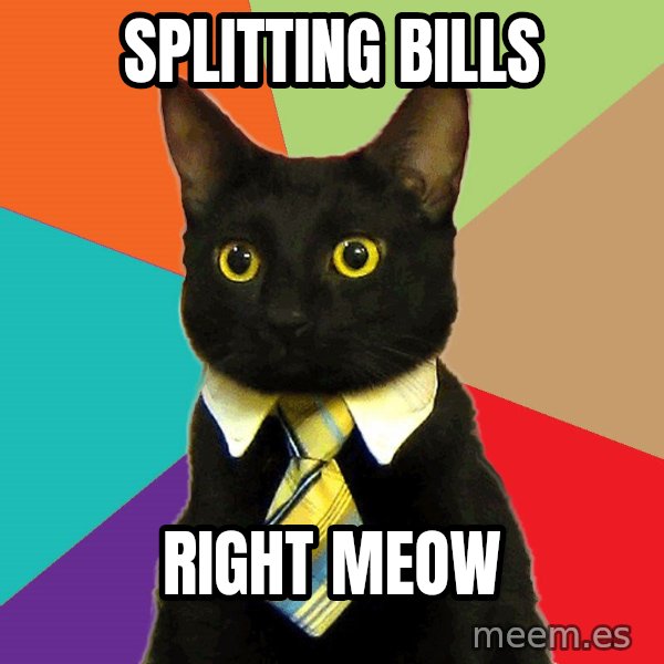 Business Cat meme: Splitting bills / Right meow