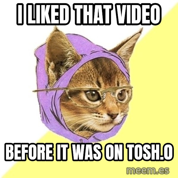 Hipster Kitty meme: I liked that video / before it was on tosh.0